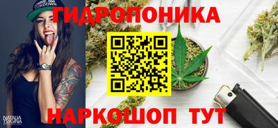 первитин Заводоуковск