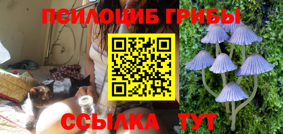 Лениногорск  Псилоцибиновые грибы ЛСД  закладки  Вход с VPN 